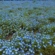 ヒメ日記 2025/05/04 15:03 投稿 なつみ アラカルト