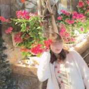 ヒメ日記 2025/01/15 11:48 投稿 伊集 もな HANA-okinawa-