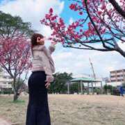 ヒメ日記 2025/02/09 08:18 投稿 伊集 もな HANA-okinawa-