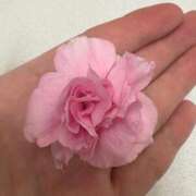 ヒメ日記 2025/04/08 20:54 投稿 いちご ママれもん葛西店