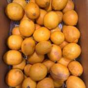 ヒメ日記 2025/05/06 22:04 投稿 いちご ママれもん葛西店