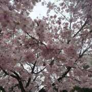 ヒメ日記 2026/04/04 18:56 投稿 いちご ママれもん葛西店