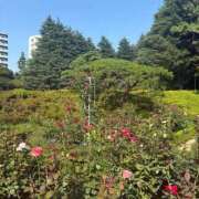 ヒメ日記 2025/06/18 17:17 投稿 きずな エデンR