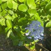 ヒメ日記 2025/06/20 20:17 投稿 きずな エデンR