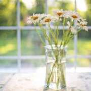 ヒメ日記 2025/06/04 23:57 投稿 内田 ローズマリー大塚