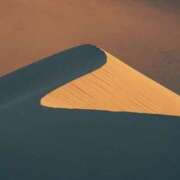 ヒメ日記 2025/07/05 23:34 投稿 内田 ローズマリー大塚