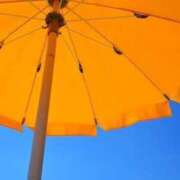 ヒメ日記 2025/07/08 15:54 投稿 内田 ローズマリー大塚