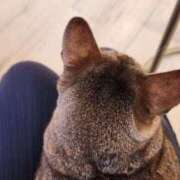 ヒメ日記 2025/07/24 21:04 投稿 内田 ローズマリー大塚