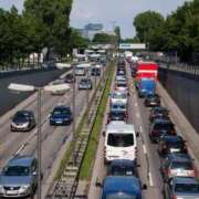 ヒメ日記 2025/08/12 02:14 投稿 内田 ローズマリー大塚