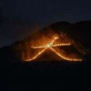 ヒメ日記 2025/08/16 21:14 投稿 内田 ローズマリー大塚