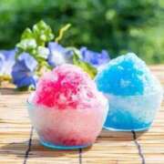 ヒメ日記 2025/08/21 17:24 投稿 内田 ローズマリー大塚