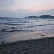 ヒメ日記 2025/08/27 19:04 投稿 内田 ローズマリー大塚