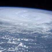 ヒメ日記 2025/09/06 09:04 投稿 内田 ローズマリー大塚