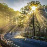 ヒメ日記 2025/09/30 16:44 投稿 内田 ローズマリー大塚