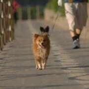 ヒメ日記 2025/10/16 17:14 投稿 内田 ローズマリー大塚