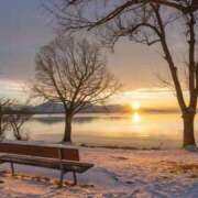 ヒメ日記 2025/11/13 18:34 投稿 内田 ローズマリー大塚