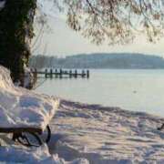 ヒメ日記 2025/11/14 13:54 投稿 内田 ローズマリー大塚