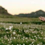 内田 風が強いです🍃 ローズマリー大塚