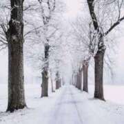 ヒメ日記 2026/01/22 23:54 投稿 内田 ローズマリー大塚