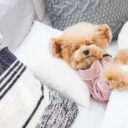 ヒメ日記 2026/02/06 16:34 投稿 内田 ローズマリー大塚