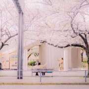 ヒメ日記 2026/02/19 17:44 投稿 内田 ローズマリー大塚