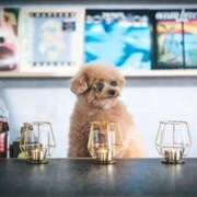 ヒメ日記 2026/02/23 17:34 投稿 内田 ローズマリー大塚