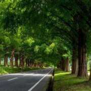 ヒメ日記 2026/03/05 20:04 投稿 内田 ローズマリー大塚