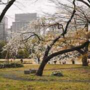 ヒメ日記 2026/03/14 19:24 投稿 内田 ローズマリー大塚