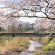 ヒメ日記 2026/03/29 23:54 投稿 内田 ローズマリー大塚