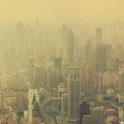 内田 黄砂の発生予報⌛️ ローズマリー大塚