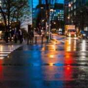 内田 雨☔ ローズマリー大塚