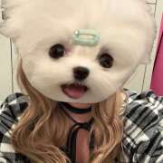 ヒメ日記 2025/03/07 23:42 投稿 れあ vivid cafe