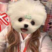 ヒメ日記 2025/03/18 22:39 投稿 れあ vivid cafe