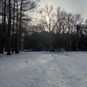 ヒメ日記 2025/03/27 01:03 投稿 れあ vivid cafe