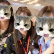 ヒメ日記 2025/08/31 01:15 投稿 れあ vivid cafe