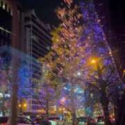 ヒメ日記 2024/12/16 21:06 投稿 一条なつき 恋する奥さん 西中島店