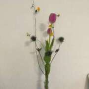 一条なつき ごめんなさい 恋する奥さん 西中島店