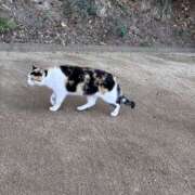 ヒメ日記 2025/03/06 22:04 投稿 日向 じゅり 快楽園 大阪梅田