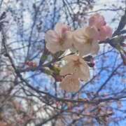 ヒメ日記 2025/03/31 18:13 投稿 日向 じゅり 快楽園 大阪梅田