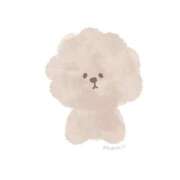 ヒメ日記 2024/12/15 20:31 投稿 岸かおり 癒したくて錦糸町店～日本人アロマ性感～