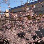 岸かおり 明日出勤❕ 癒したくて錦糸町店～日本人アロマ性感～