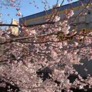 ヒメ日記 2026/03/27 14:13 投稿 岸かおり 錦糸町快楽M性感倶楽部～前立腺マッサージ専門～