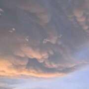 ヒメ日記 2025/11/01 14:46 投稿 ゆりね 町田人妻城