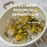 ヒメ日記 2025/03/04 12:55 投稿 かなこ 奥鉄オクテツ東京店（デリヘル市場）