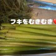 ヒメ日記 2025/06/16 21:15 投稿 かなこ 奥鉄オクテツ東京店（デリヘル市場）