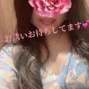 ヒメ日記 2025/08/14 12:15 投稿 かなこ 奥鉄オクテツ東京店（デリヘル市場）