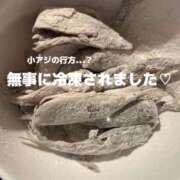 ヒメ日記 2025/10/09 14:05 投稿 かなこ 奥鉄オクテツ東京店（デリヘル市場）