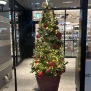 ヒメ日記 2025/11/16 00:35 投稿 かなこ 奥鉄オクテツ東京店（デリヘル市場）