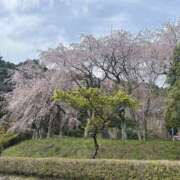 ヒメ日記 2026/04/01 12:45 投稿 かなこ 奥鉄オクテツ東京店（デリヘル市場）