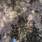 かなこ 桜の絨毯 奥鉄オクテツ東京店（デリヘル市場）